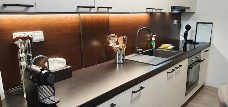 Academic Apartment Brno Ngoại thất bức ảnh